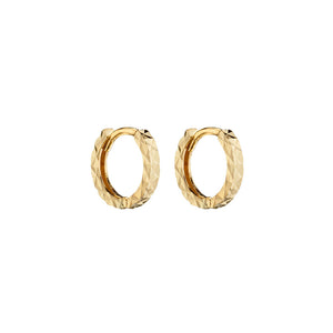 Diamond Cut 9ct Yellow Gold Hoops