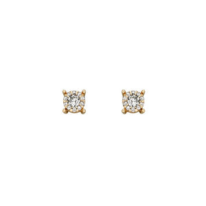 9ct Yellow Gold Diamond Cluster Stud Earrings