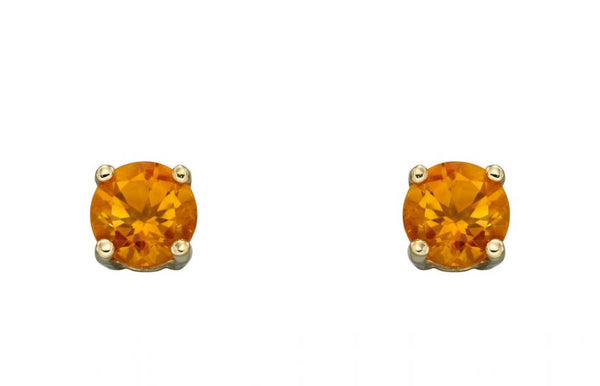 9ct Yellow Gold Birthstone Earrings